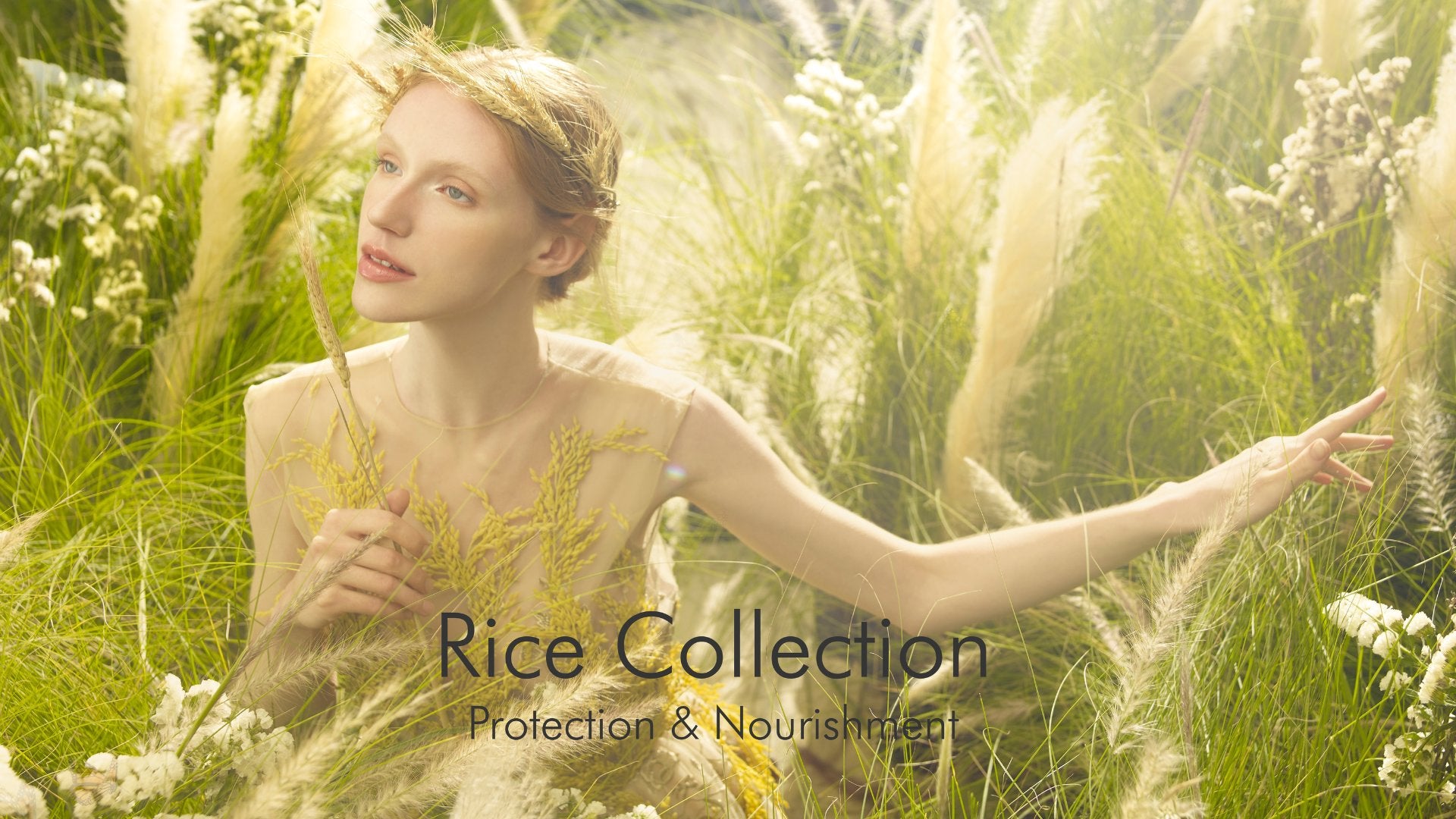 Rice Collection – CH Care AB